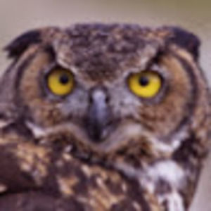 Meet your Posher, Jack